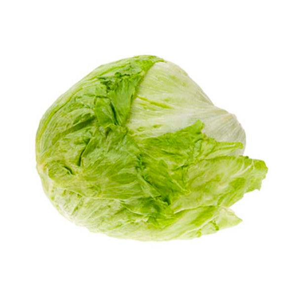 Lechuga Bola