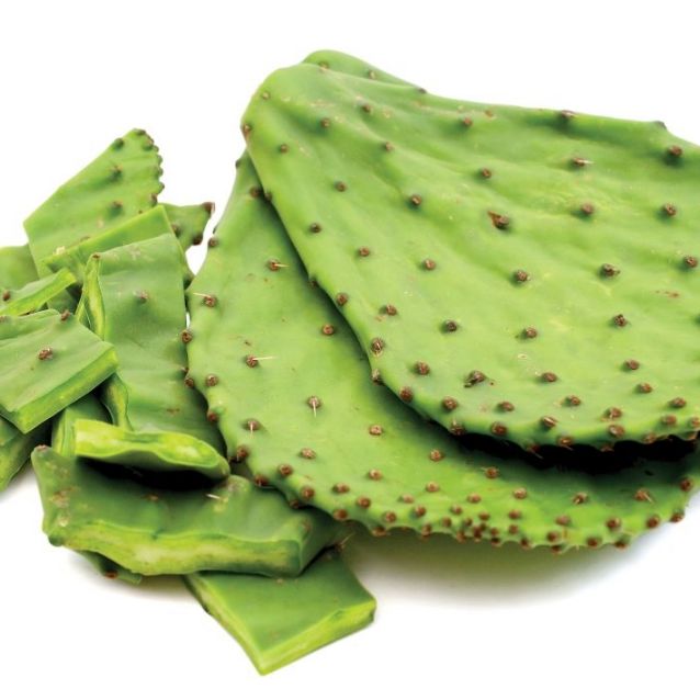 Nopal