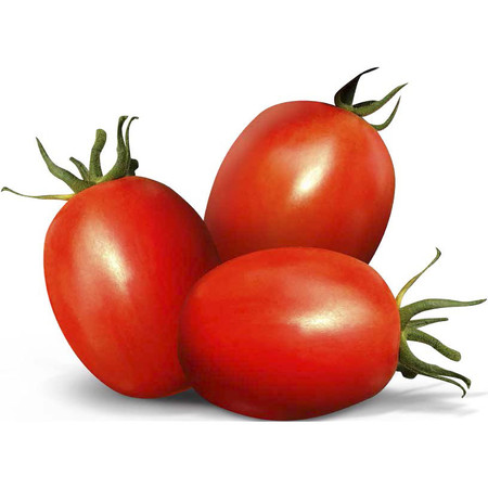 Tomate Bule