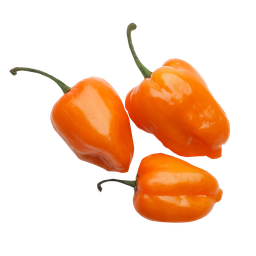 [1019] Chile Habanero